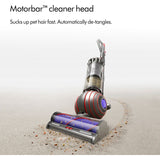 Dyson Ball™ Animal UP34 Origin