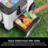 Ninja FrostVault FB245UKWH Cool Box - White