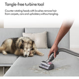 Dyson Ball™ Animal Multi-floor
