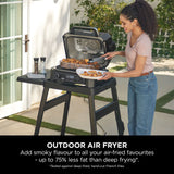 Ninja Woodfire Pro XL OG853UK Outdoor Oven - Black