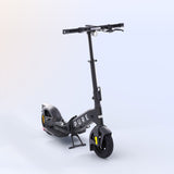 Pure Flex Electric Scooter